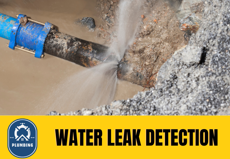 leak detection Sheerness
